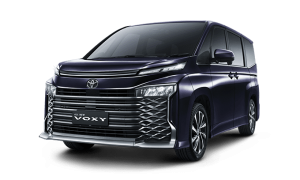 Voxy